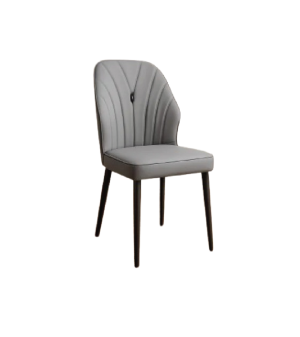 Dining chair JR1